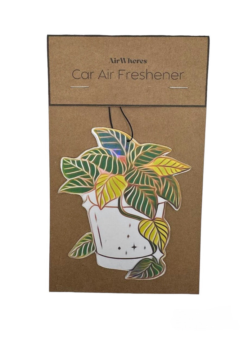 Pothos Plant Car Air Freshener