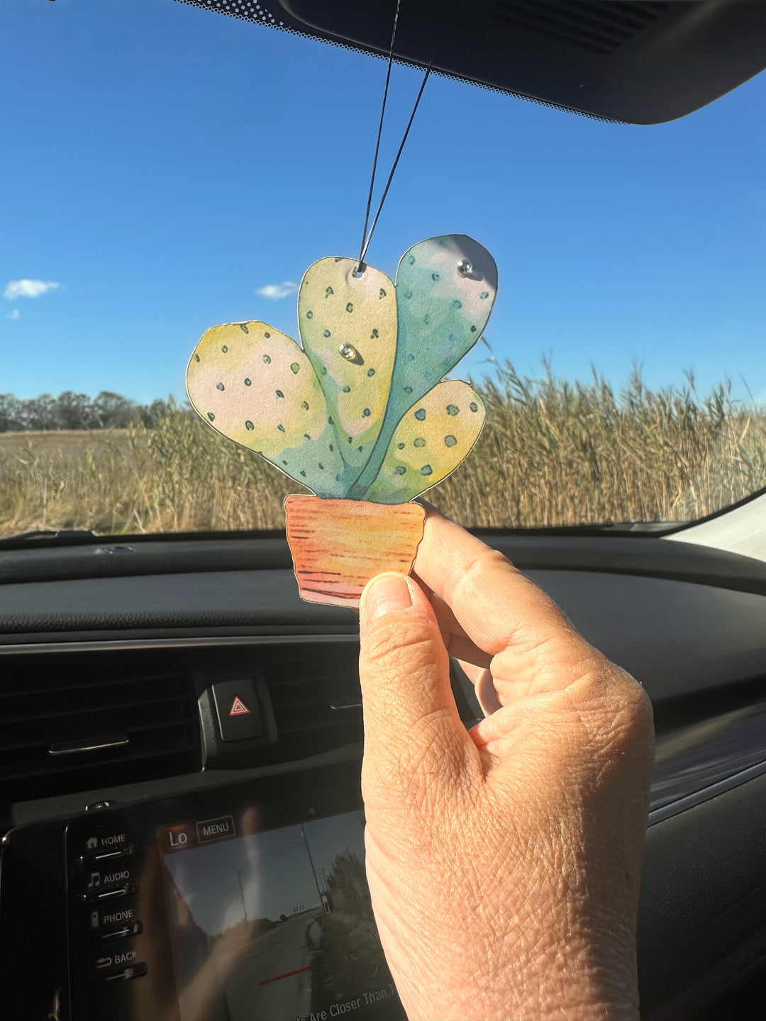 Cactus Bling Car Air Freshener
