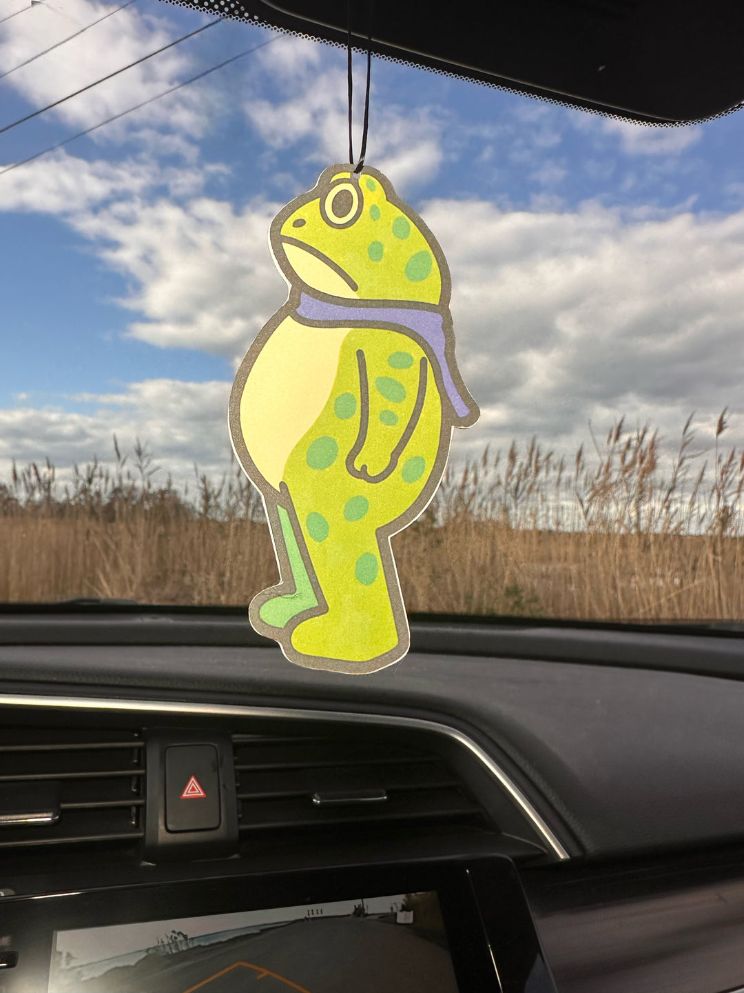 Portland Frog Car Air Freshener