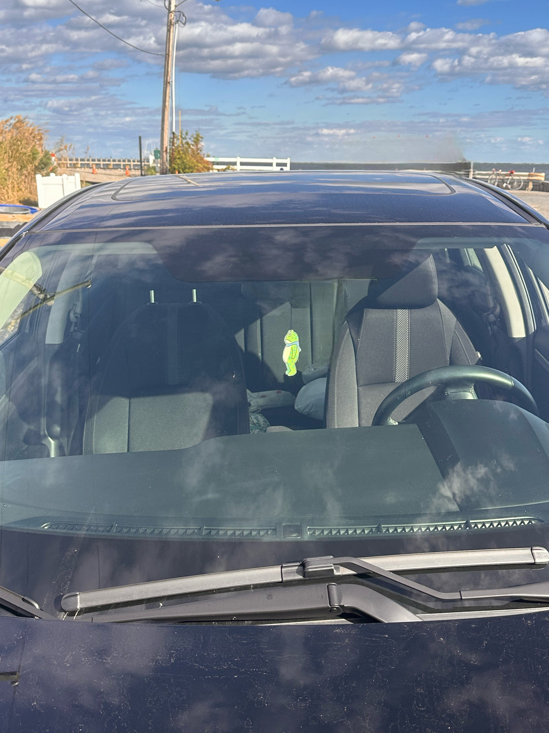 Portland Frog Car Air Freshener