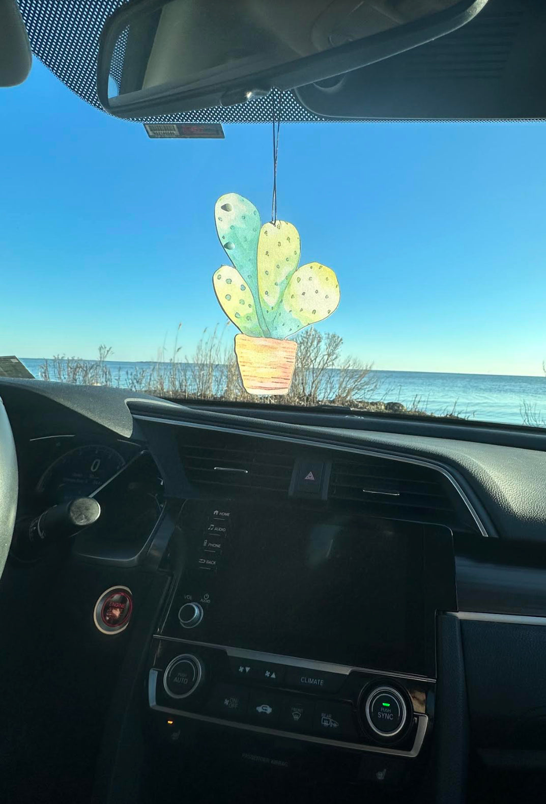 Cactus Bling Car Air Freshener