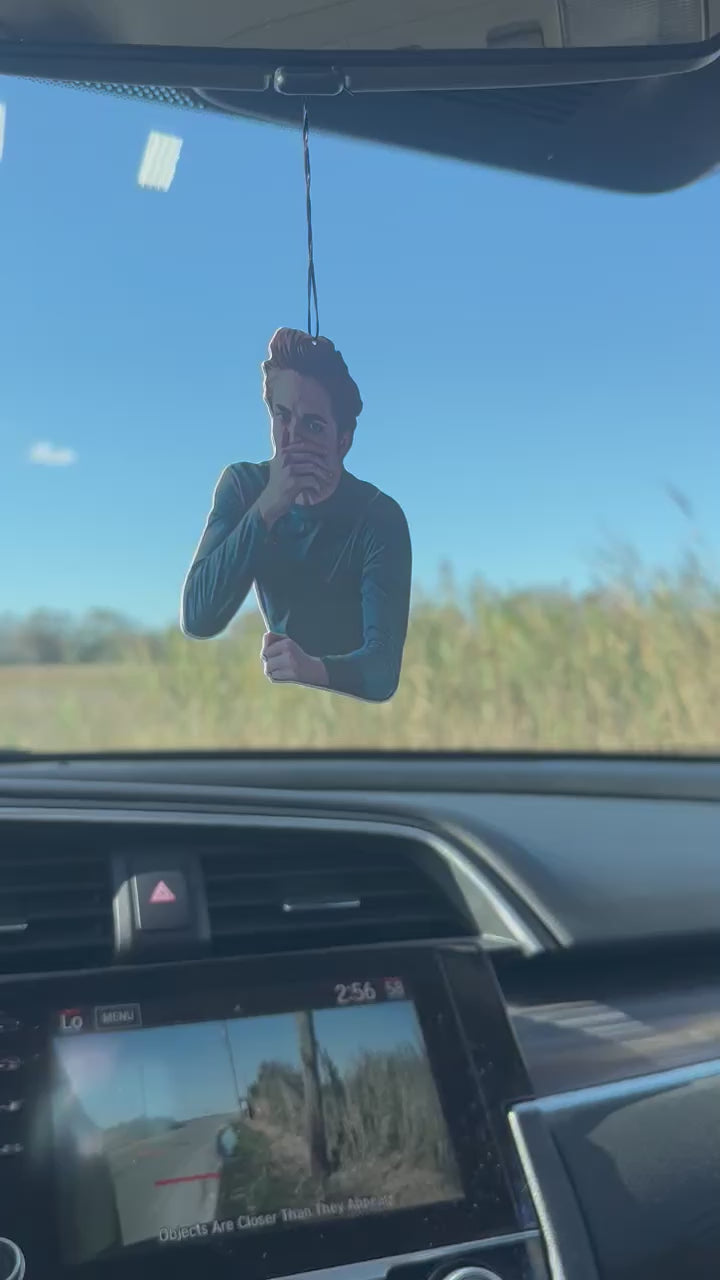 Stinky Face Car Air Freshener