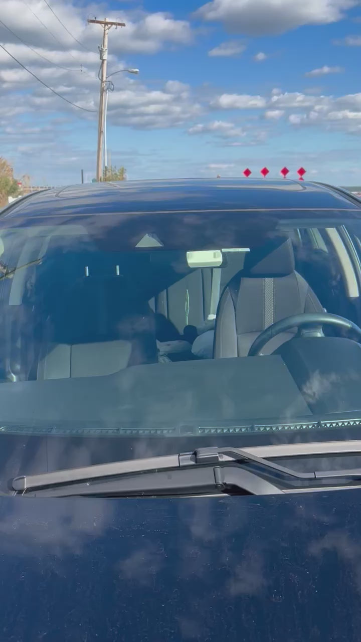 Portland Frog Car Air Freshener