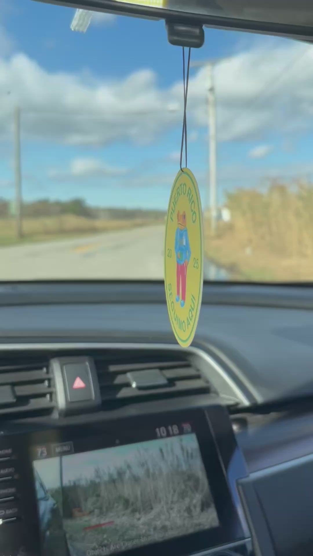 Sapo Concho Frog Puerto Rico Car Air Freshener